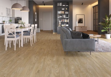 Эйфория | Euphoria